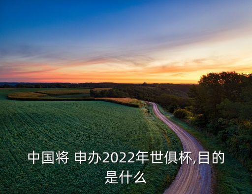 中國將 申辦2022年世俱杯,目的是什么