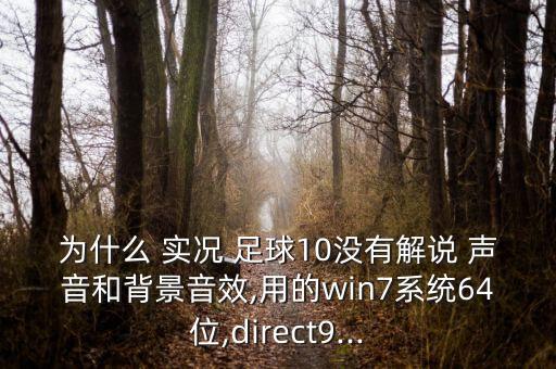 為什么 實(shí)況 足球10沒有解說 聲音和背景音效,用的win7系統(tǒng)64位,direct9...