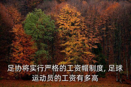 足協(xié)將實(shí)行嚴(yán)格的工資帽制度, 足球運(yùn)動(dòng)員的工資有多高
