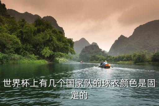 世界杯上有幾個(gè)國(guó)家隊(duì)的球衣顏色是固定的