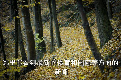 哪里能看到最新的體育和國(guó)際等方面的 新聞