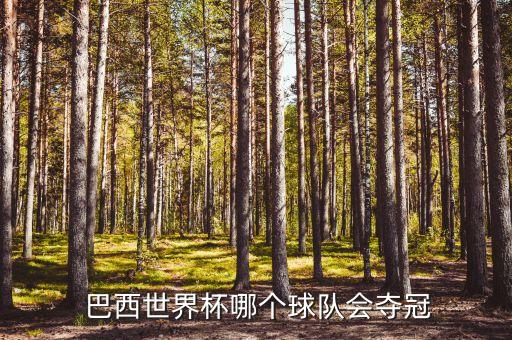  巴西世界杯哪個球隊(duì)會奪冠