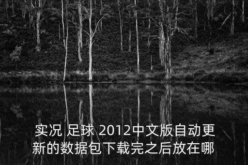  實況 足球 2012中文版自動更新的數據包下載完之后放在哪
