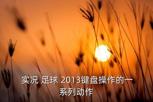  實況 足球 2013鍵盤操作的一系列動作
