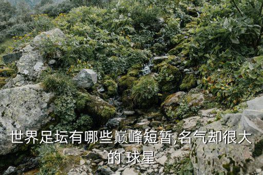 世界足壇有哪些巔峰短暫,名氣卻很大的 球星