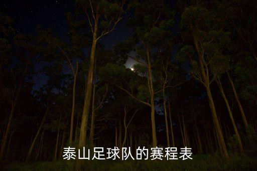泰山足球隊(duì)的賽程表