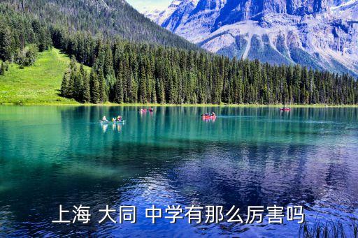 上海 大同 中學(xué)有那么厲害嗎