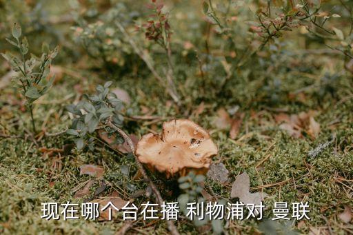 現(xiàn)在哪個(gè)臺(tái)在播 利物浦對(duì) 曼聯(lián)
