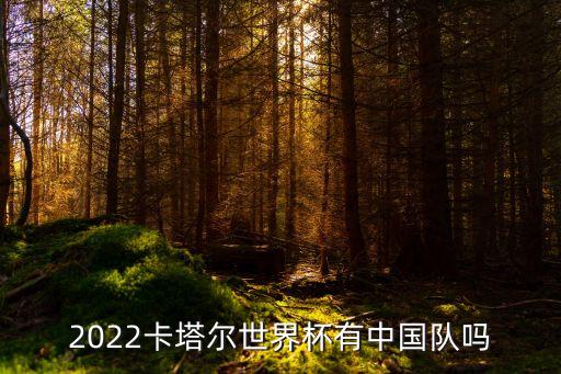 2022卡塔爾世界杯有中國(guó)隊(duì)嗎