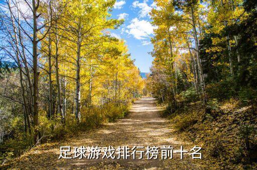  足球游戲排行榜前十名
