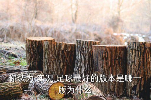 你認為 實況 足球最好的版本是哪一版為什么
