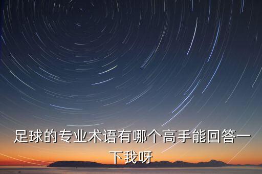  足球的專業(yè)術(shù)語有哪個(gè)高手能回答一下我呀