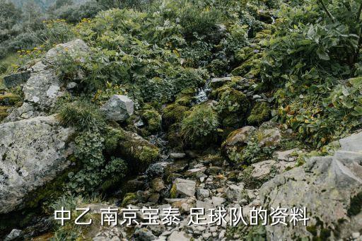 中乙 南京寶泰 足球隊(duì)的資料
