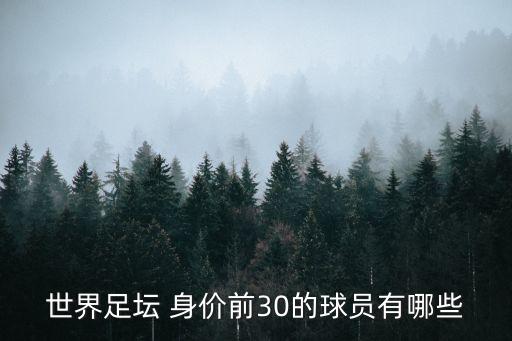 世界足壇 身價(jià)前30的球員有哪些