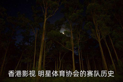 香港影視 明星體育協(xié)會的賽隊歷史