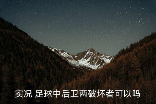 實(shí)況 足球中后衛(wèi)兩破壞者可以嗎