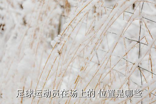  足球運動員在場上的 位置是哪些
