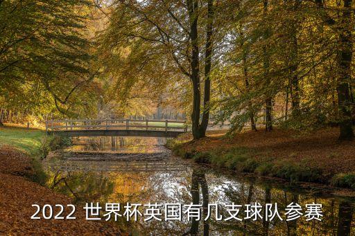 2022 世界杯英國有幾支球隊(duì)參賽