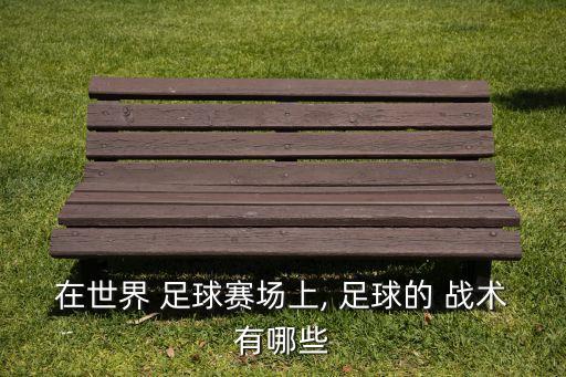 在世界 足球賽場上, 足球的 戰(zhàn)術有哪些