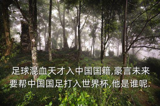 足球運動員高潮,有關(guān)足球的音樂,開頭就是高潮