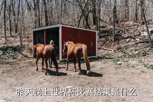 昨天晚上世界杯比賽結(jié)果是什么