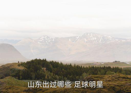 山東出過哪些 足球明星
