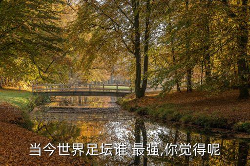 當今世界足壇誰 最強,你覺得呢