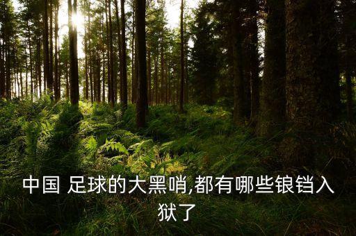 中國(guó) 足球的大黑哨,都有哪些鋃鐺入獄了