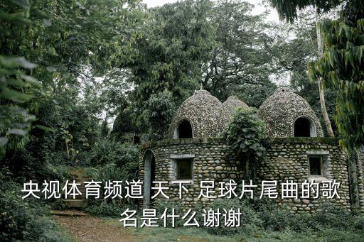 央視體育頻道 天下 足球片尾曲的歌名是什么謝謝