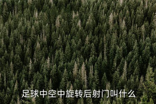  足球中空中旋轉(zhuǎn)后射門叫什么