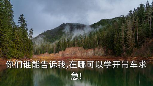 你們誰(shuí)能告訴我,在哪可以學(xué)開吊車求急!