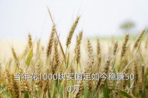 當年花1000塊買國足如今穩(wěn)賺500萬