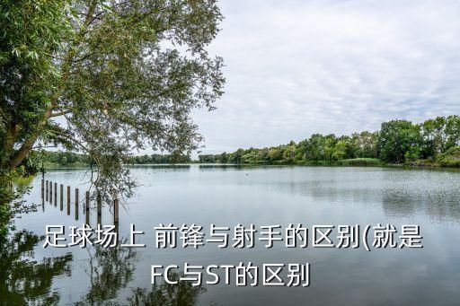 足球場上 前鋒與射手的區(qū)別(就是FC與ST的區(qū)別