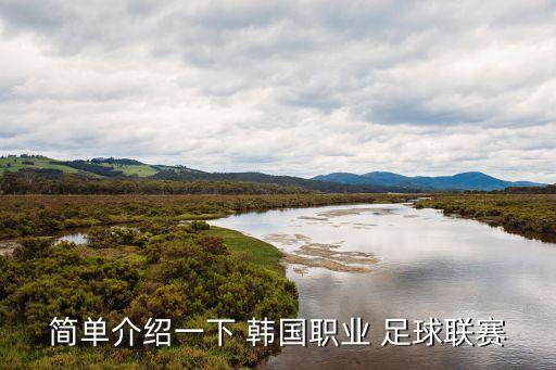 簡(jiǎn)單介紹一下 韓國職業(yè) 足球聯(lián)賽