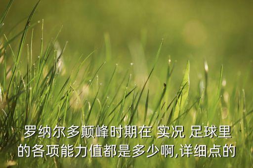  羅納爾多顛峰時(shí)期在 實(shí)況 足球里的各項(xiàng)能力值都是多少啊,詳細(xì)點(diǎn)的