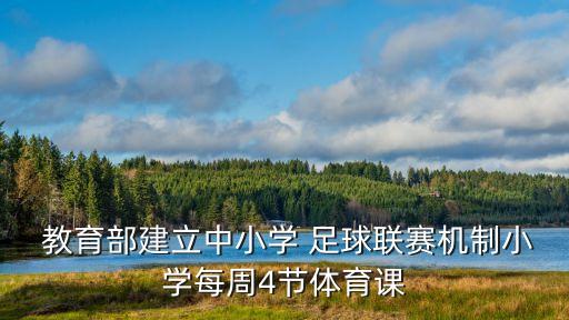  教育部建立中小學(xué) 足球聯(lián)賽機(jī)制小學(xué)每周4節(jié)體育課