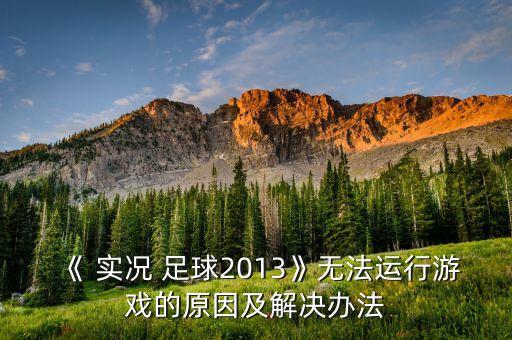 實(shí)況足球2013warning