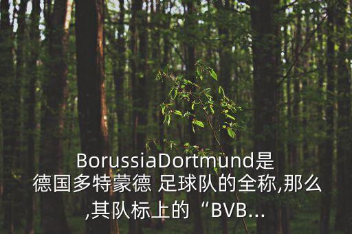 BorussiaDortmund是 德國(guó)多特蒙德 足球隊(duì)的全稱,那么,其隊(duì)標(biāo)上的“BVB...
