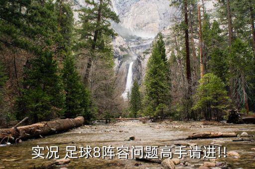 實況足球特雷澤蓋數(shù)據(jù),特雷澤蓋生涯數(shù)據(jù)