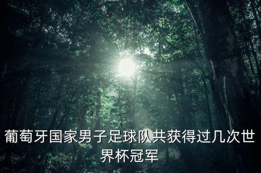 葡萄牙國家男子足球隊共獲得過幾次世界杯冠軍