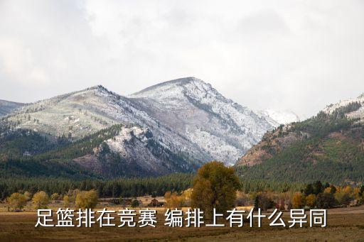 足籃排在競賽 編排上有什么異同