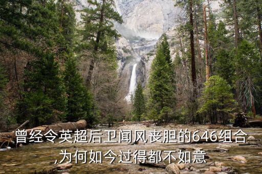 曾經(jīng)令英超后衛(wèi)聞風喪膽的646組合,為何如今過得都不如意
