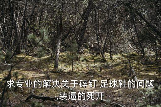 求專業(yè)的解決關(guān)于碎釘 足球鞋的問(wèn)題,裝逼的死開(kāi)