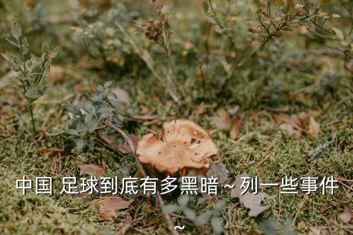 中國(guó) 足球到底有多黑暗～列一些事件～