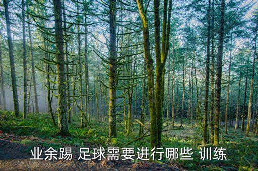 業(yè)余踢 足球需要進行哪些 訓練