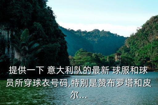意大利足球球服,足球球服簡(jiǎn)筆畫(huà)