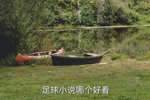  足球小說(shuō)哪個(gè)好看