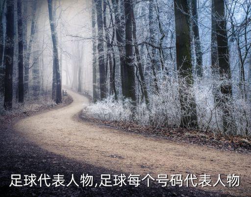 藝術(shù)足球代表人物,足球每個(gè)號碼代表人物