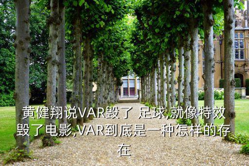 黃健翔說VAR毀了 足球,就像特效毀了電影,VAR到底是一種怎樣的存在