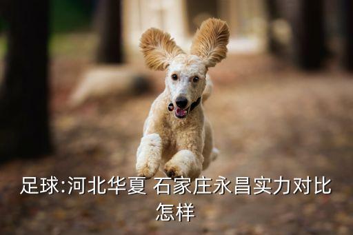 足球:河北華夏 石家莊永昌實(shí)力對(duì)比怎樣
